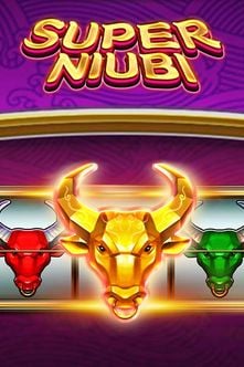 Super Niubi